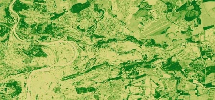 NDVI